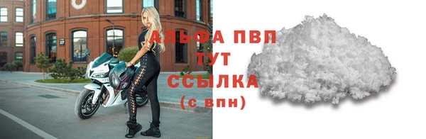молекула духа Заволжье