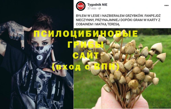 мяу мяу мука Заводоуковск