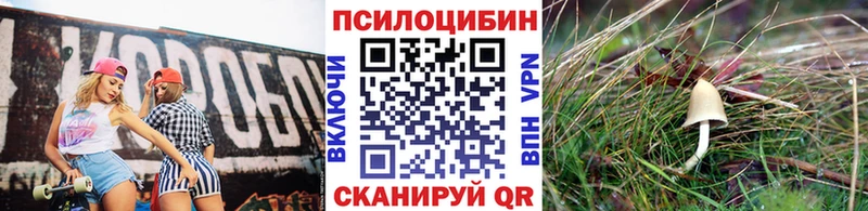 Купить закладки  Славгород  Галлюциногенные грибы Psilocybine cubensis 